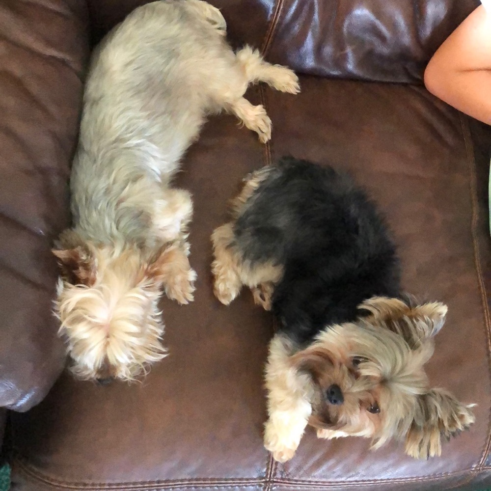 Meet your Posher, Lis